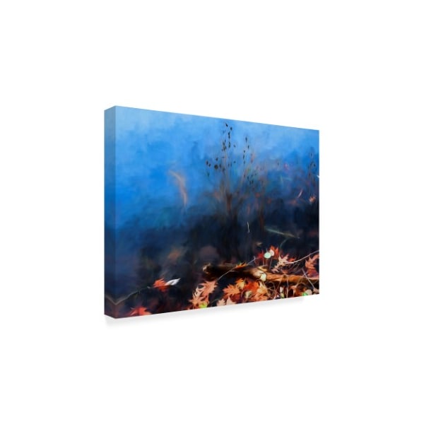 Anthony Paladino 'Colorful Autumn Foliage On Water' Canvas Art,14x19